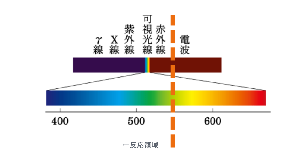 可視光線の反応領域